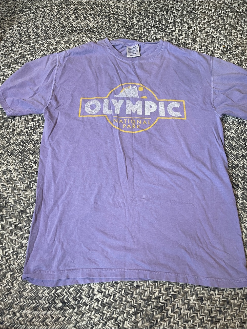 🎉 3 for $25 🎉 Olympic National Park Lavender Graphic Tee by Champion